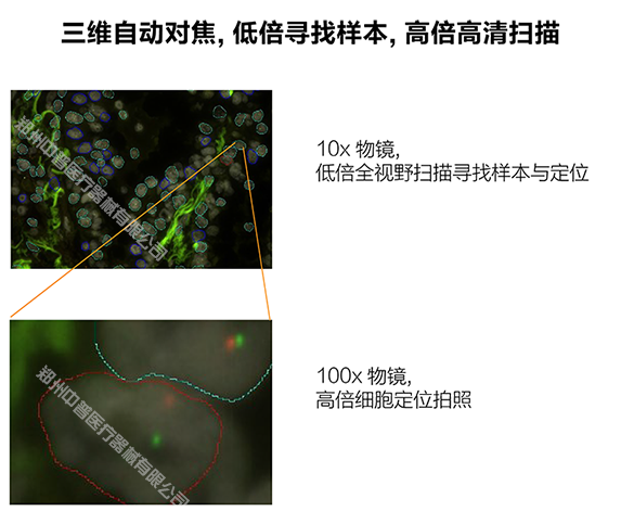 XKTY.COM星空·(中国有限公司)官方网站